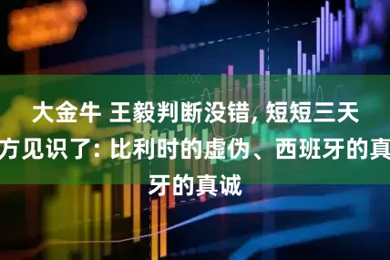 大金牛 王毅判断没错, 短短三天中方见识了: 比利时的虚伪、西班牙的真诚